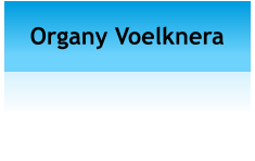 Organy Voelknera