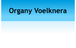 Organy Voelknera